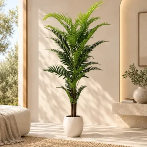 Palmera areca