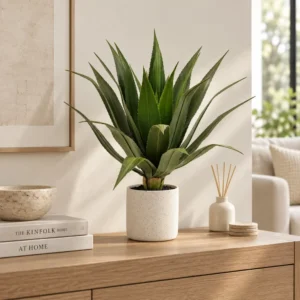 Agave verde