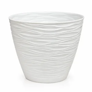 Maceta wind