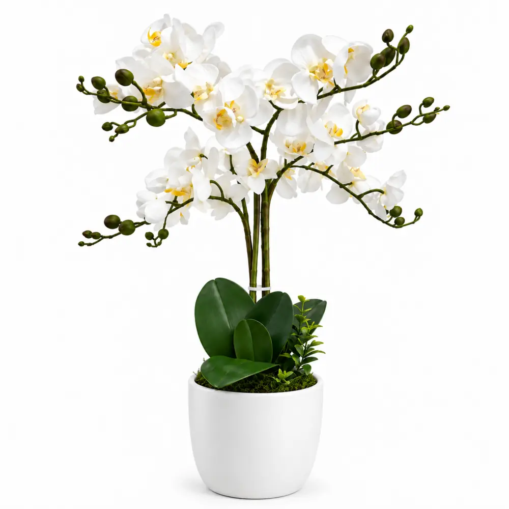 Orquídea 6 ramas - Imagen 7